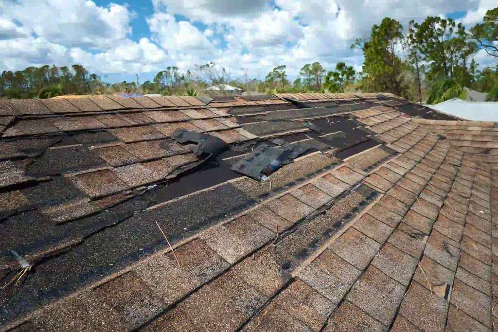 5 Key Signs of a Failing Roof