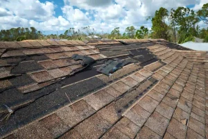 5 Key Signs of a Failing Roof